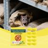 Insecte, Rat, Balle, Balle pour Rongeur, Odeur Pour Repousser les Souris de Déranger