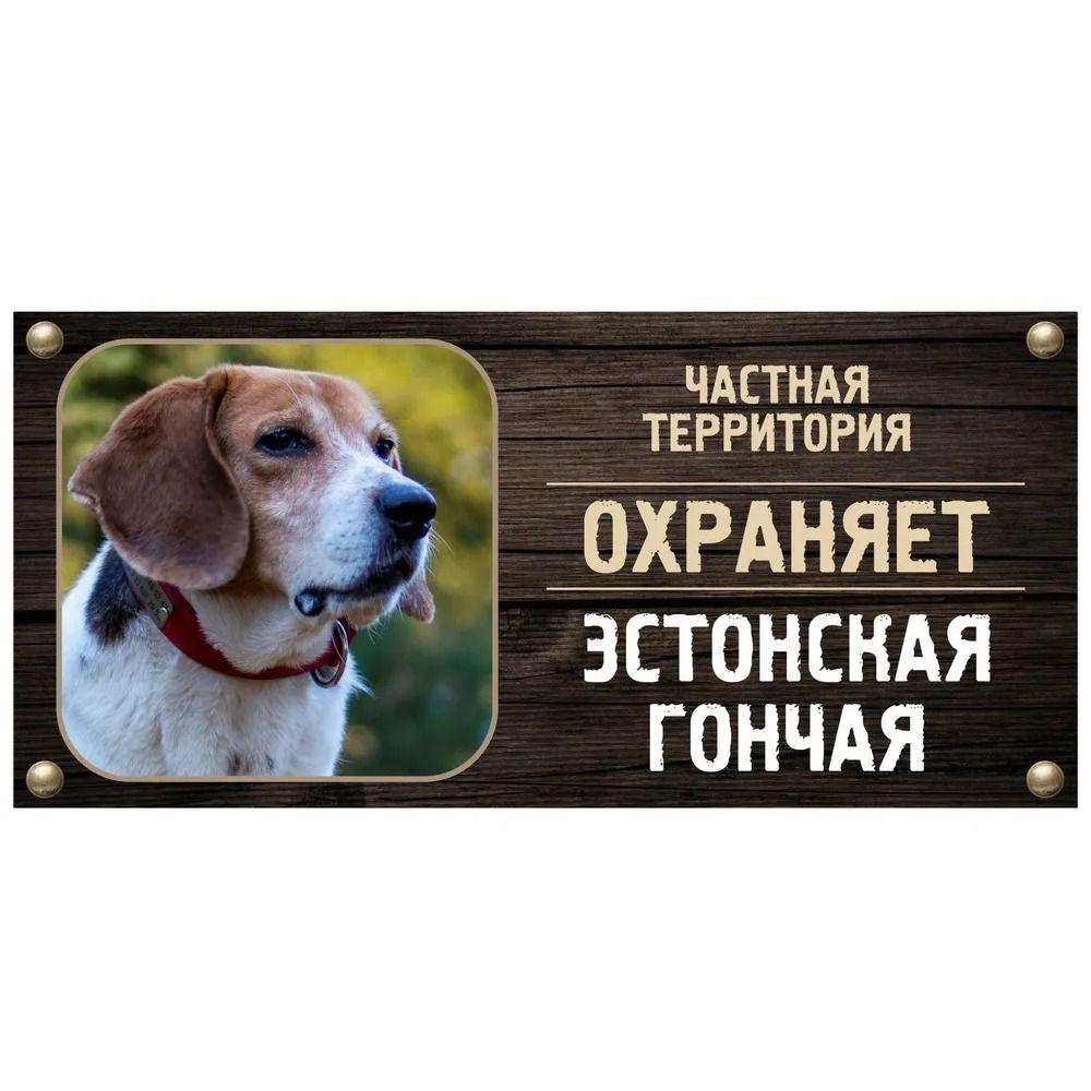 DORA Tin Sign Guard Dog Private Property Sign Metal House Number Plaque