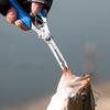 Fish Tackle Fish Lip Stainless Steel Control Scissor Snip Fishing Grip Set Nipper Pincer Accessory