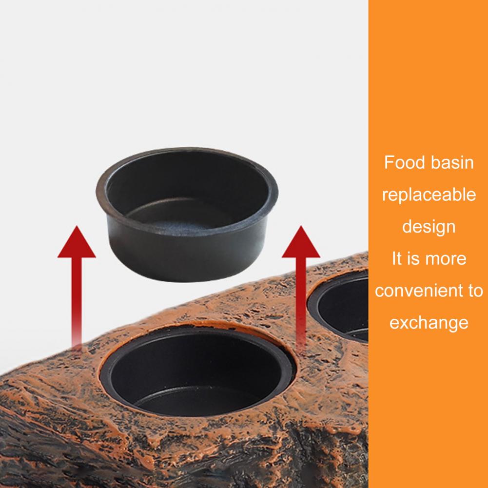 Magnetisk Reptilmatningshylla Hängande Djur Mat- och Vattenskål Leviterande Matningsskål för Geckoödlor Trädgrodor Kameleoner