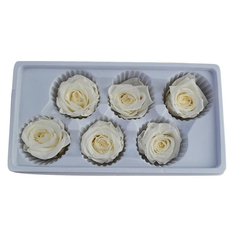 

6 шт./кор. вечная жизнь цветок вечеринка декор роза цветок DIY консервированный подарок высокое качество День матери 5-6 см свадьба День святого Валентина белый