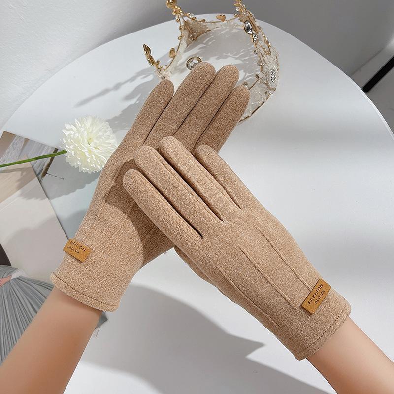 Gloves Women Autumn and Winter Fleece Thickened Warm Touch Screen
