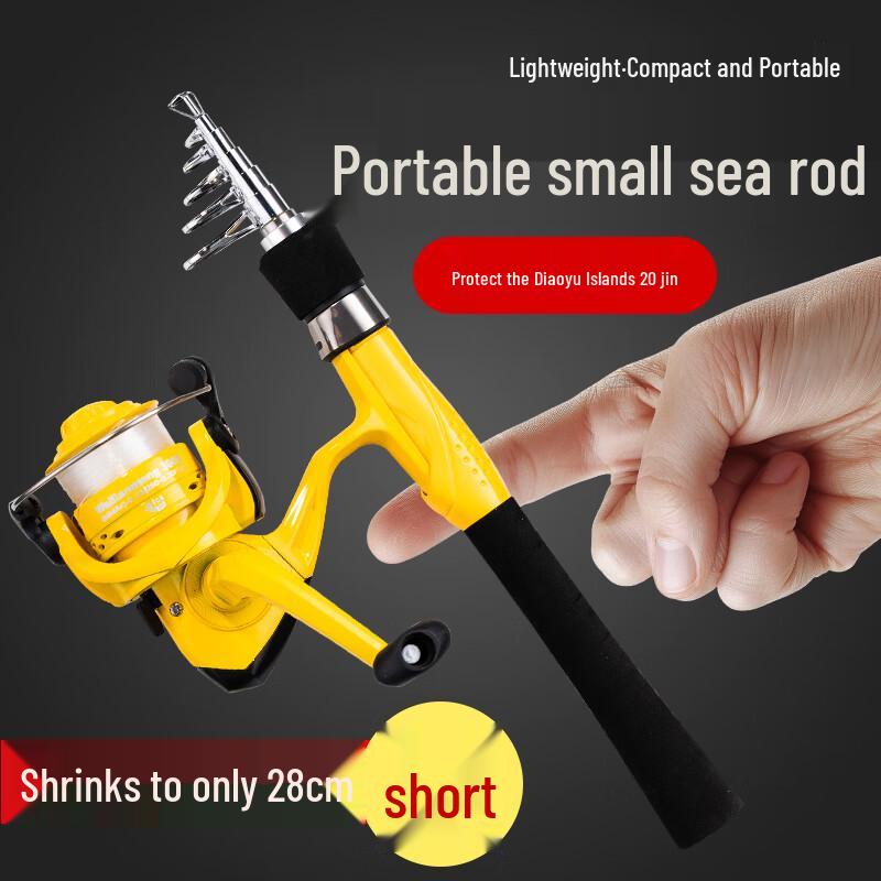 

Portable Mini Sea Fishing Rod Set