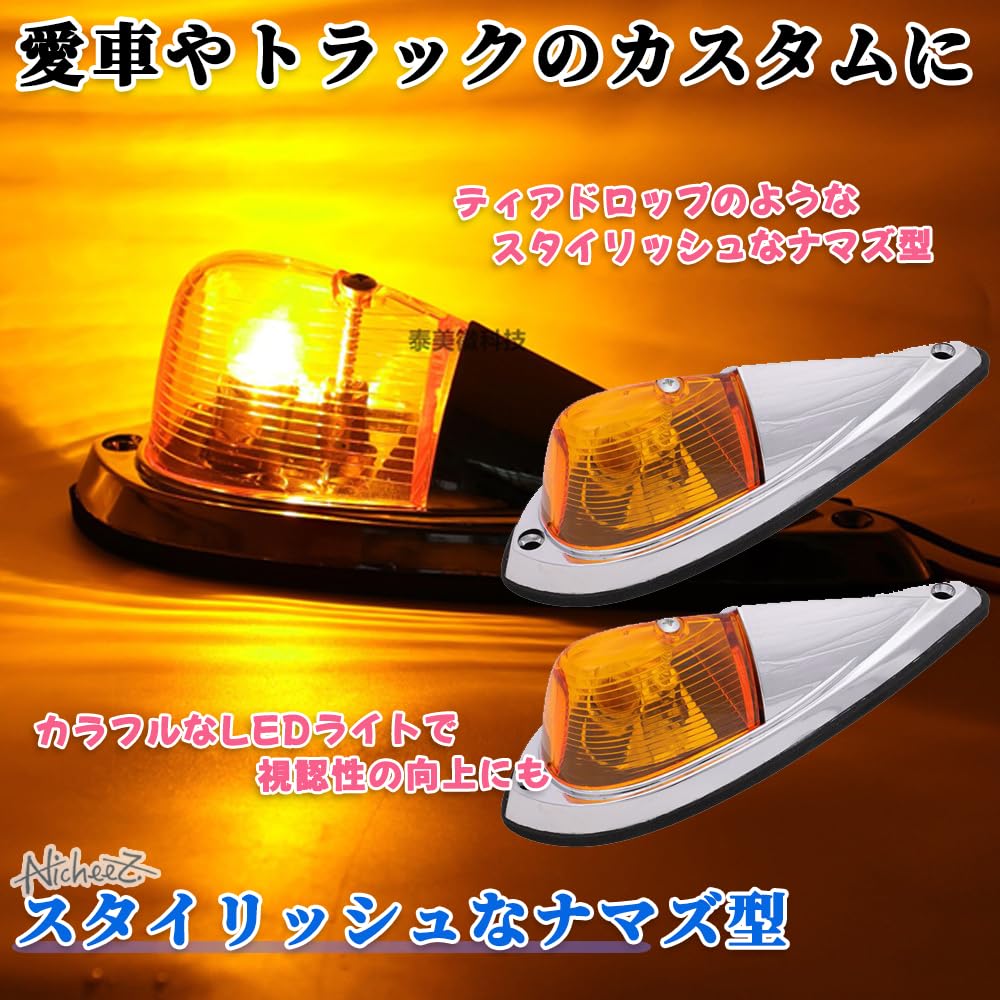 Nicheez Truck Side Marker Catfish Cab Marker Light Deco Tiger LED /24V Set of 2
