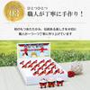 Osaka Choseido Torii Gate and Animal Fortune Slip Set Ceramic Shiba Inu Fox Height Includes free original wooden tag (25 pieces) - - Maneki-neko