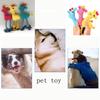 Pet Toy Dog Teddy  Bichon  Molar Toy Phonate Knot-resistant Teething Pet Toy