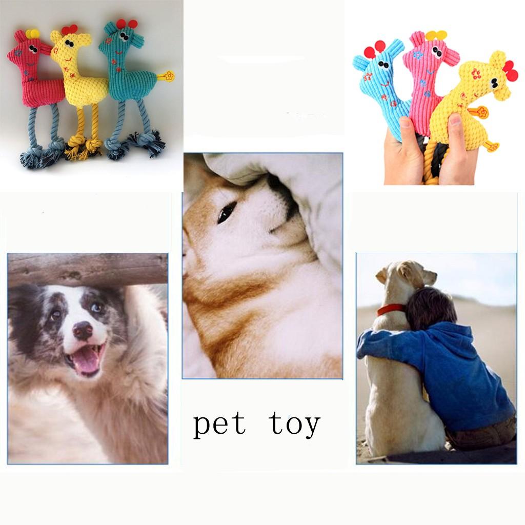 Pet Toy Dog Teddy  Bichon  Molar Toy Phonate Knot-resistant Teething Pet Toy