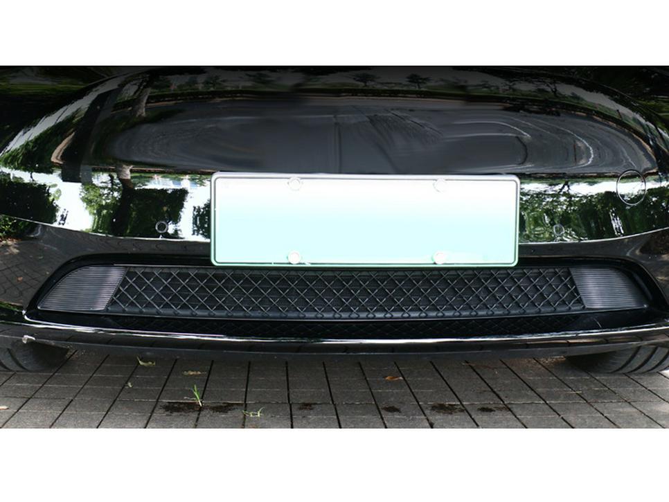 Tesla Model Y Front Bumper Insect Net