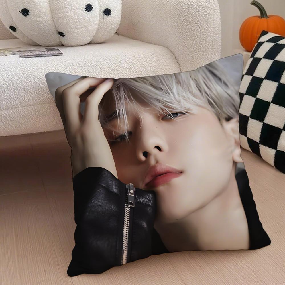 Classic Korean Handsome Singer BByun Baekhyun Cushion Cover Throw Pillow Cover Hidden Button Durable Polyester Chair Cushion