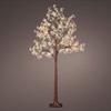 Illuminazione – Decorazioni luminose