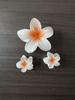 Gradient Plumeria Claw Clip Set: 18-Piece Floral Hair Accessories