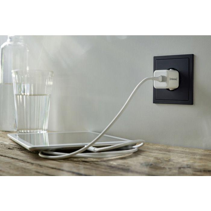 Nástěnná nabíječka - INTENSO - W30C - 30 Wattů - USB-C - Technologie GaN