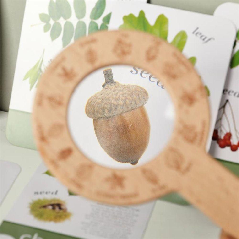 Montessori Magnifying Glass Toys Wooden Plant Cognition Cards  Kindergarten Kids