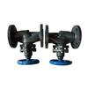 Flange Plunger Valve