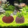 Plant Holder For Aquarium 4 Pieces Volcanic Stone Anti-Floating Aquatic Water Plant Fixed Rings For Freshwater Shrimp Pond Pool