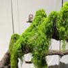Realistische Textur Künstliche Moospflanzen DIY Basteln Simulation Grünes Moos Bonsai