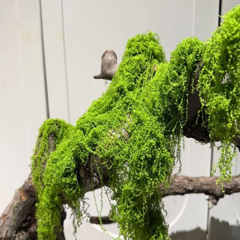 Realistische Textur Künstliche Moospflanzen DIY Basteln Simulation Grünes Moos Bonsai