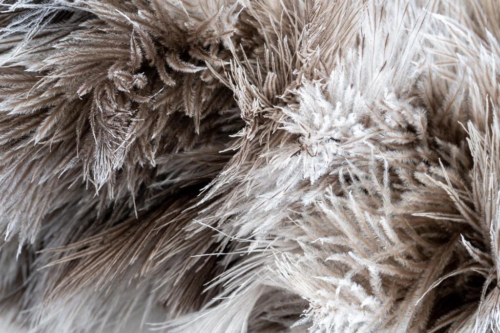 Mukojima Automotive Parts Manufacturing MYS PLUS PRO Feather First Class Floss for Coated Vehicles Ostrich-Style Duster, Feather, Gray, ED-120GY,