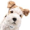 Steiff Originals Fox Terrier Foxy 076862