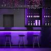 iNextStation High Brightness LED Strip Light 5M 12V Dimmable IP65 Waterproof Indirect Lighting Soft Light Flexible LED Strip