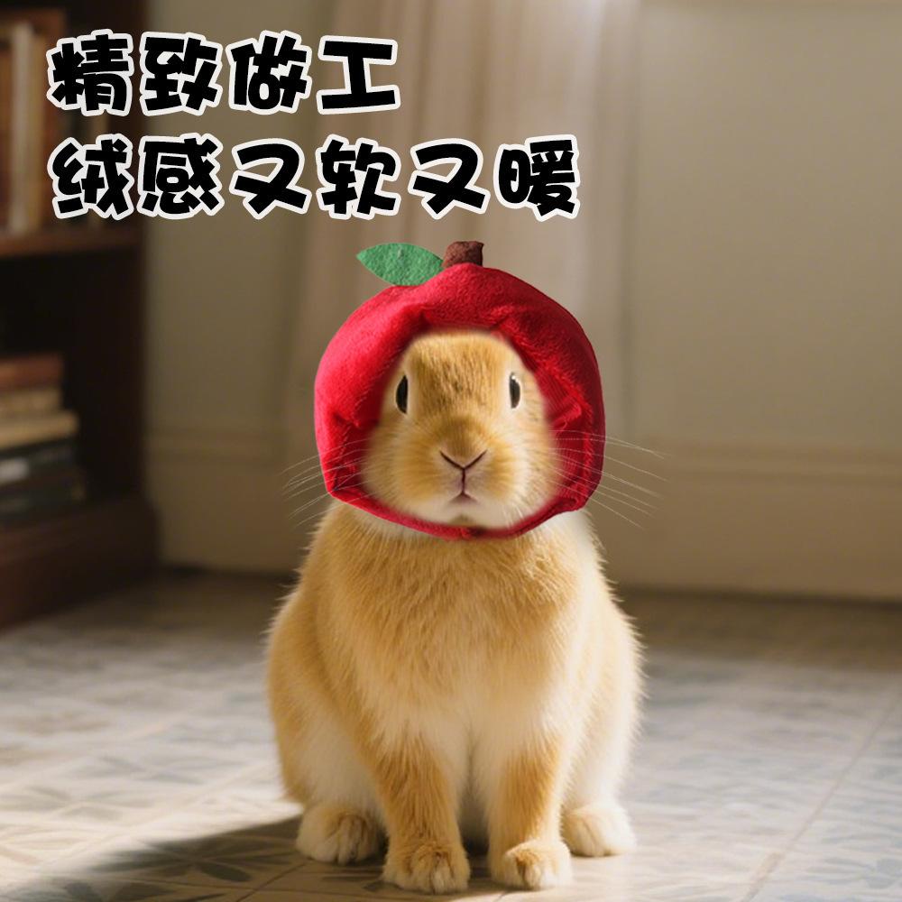 Pet hat funny costume chicken leg headdress, apple hat, cat cute leaky ear hat