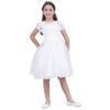 Flower Girls Dress Bridesmaid Wedding Pageant Party Princess Communion Vintage Lace Dance Gown