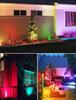 RGBW Outdoor Spotlight with Remote and Plug for Garden, Path, and Wall Lighting