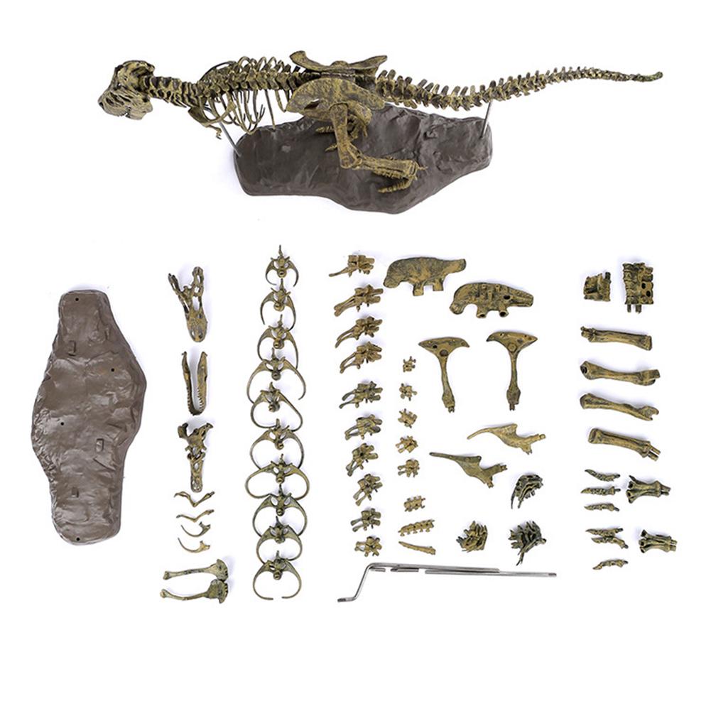 Dinosaurierskelett Cooles PVC Realistisches T-Rex-Skelettmodell Ornament für Geschenk Heimdeko