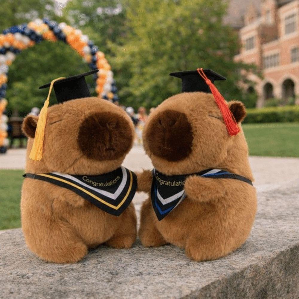 25 CM Cute Stuffed Animal Cartoon Design Doctor Hat Capybara  Gift Giving