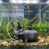 Efficient Hippo Oxygen Pump Pneumatic Aquarium Hippo Ornament Fish Tank Filter  Turtle Tanks