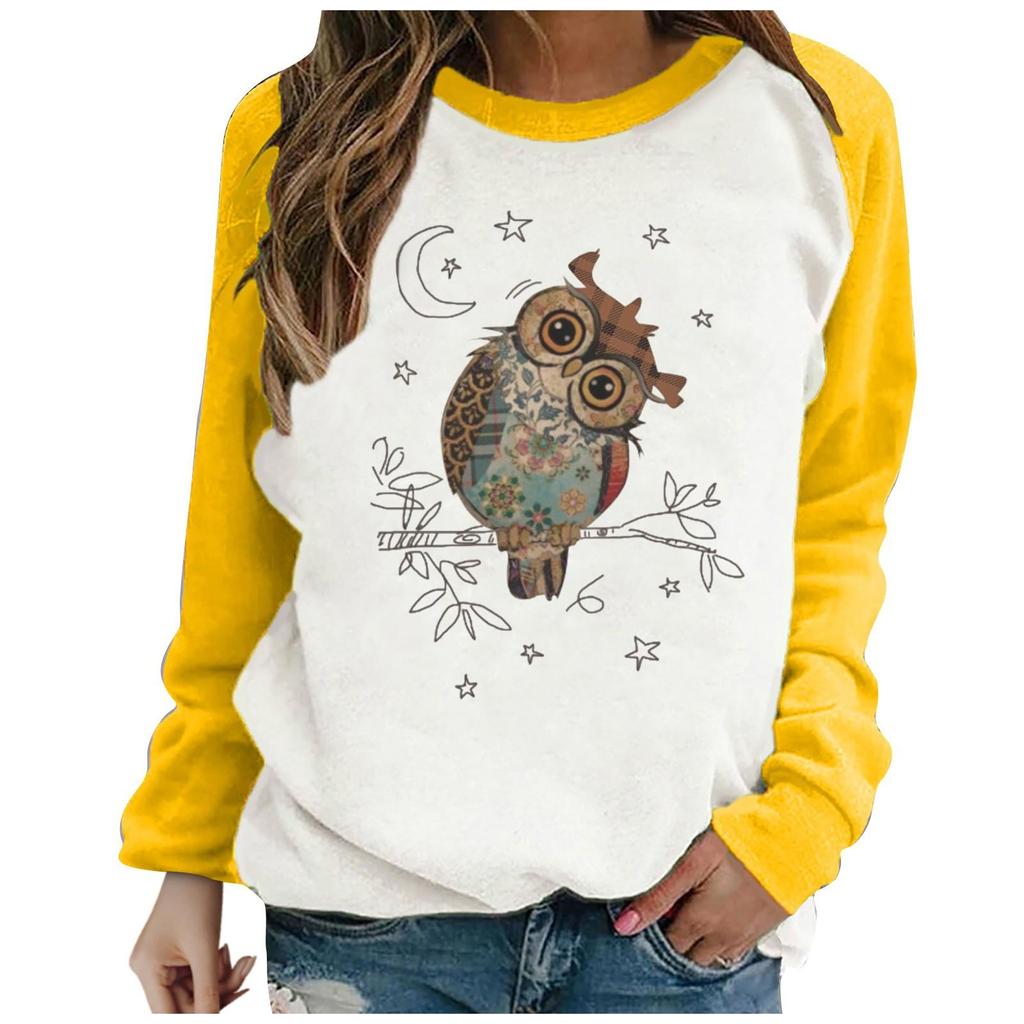 Women's Casual  Solid Color Long Sleeve Top Pullover Sweatshir