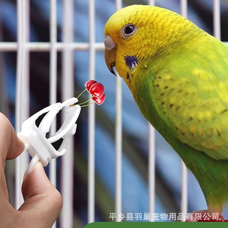 Bird Accessories, Vegetable Clip and Food Holder for Daily Feeding of Pet Birds
