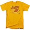 Flash "Speed Lines" T-Shirt - Adult, Child