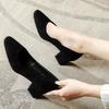 High heels women's autumn new suede versatile black professional work shoes pointed thick heel not tired feet single shoes
