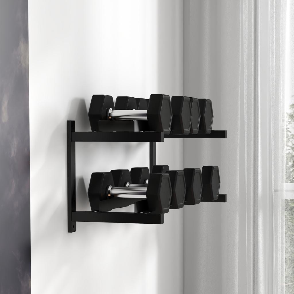 Wall-Mounted Dumbbell Rack, 2-Tier Weight Stand, Space-Saving and Multi-Functional Steel Organiser for Home Gym, Black