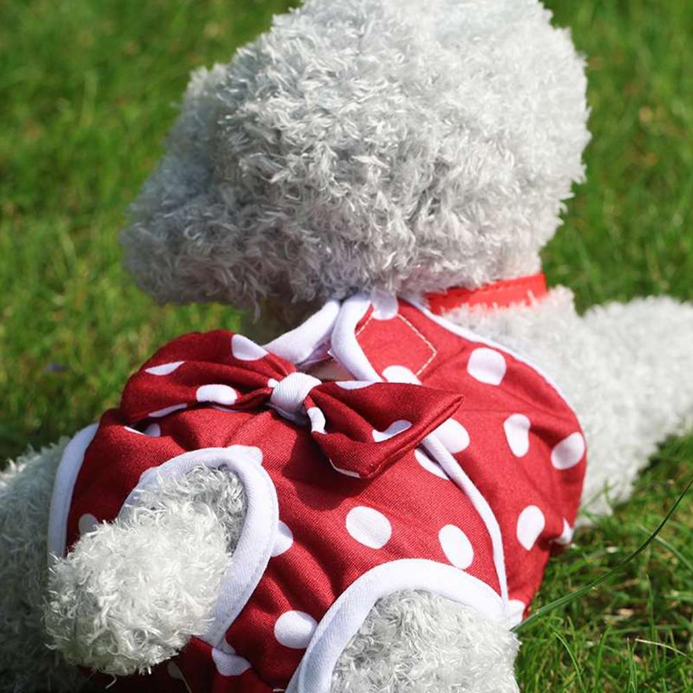 Sanitary Protection Female Dog Pants Cute Physiological Dog Pants Sanitary Dog Pants  Pet Care