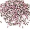 50Pcs Mini Shaped  Diamond Nail Decorations Flat Bottomed  Mixed Color Glass Gemstone Diy Manicure Accessory