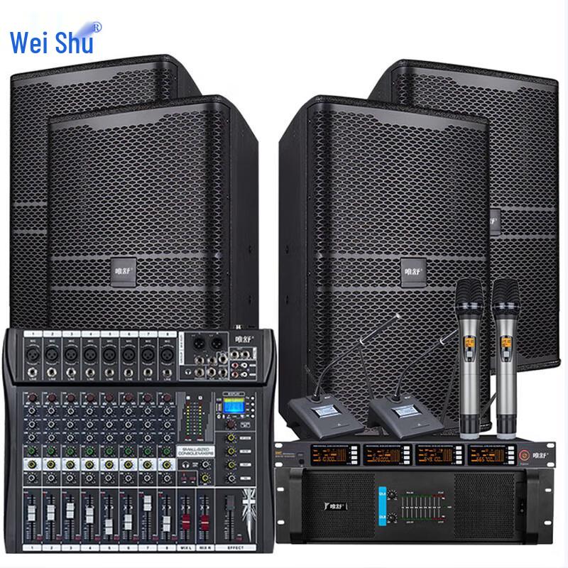 Weishu PC-610A 10-inch Conference & KTV Speaker System CN plug (adapter included)
