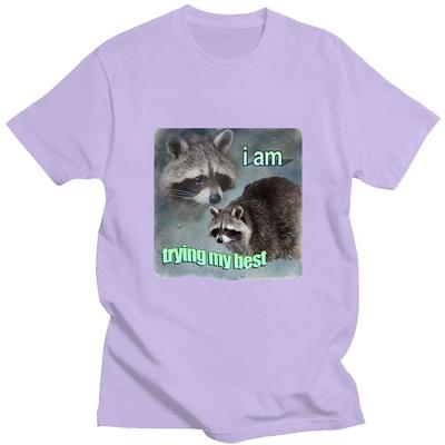 I Am Trying My Best Raccoon Meme T Shirt Funny Print Men Women T-shirt Loose Leisure Fashion Short Sleeve Cotton Cozy T Shirts