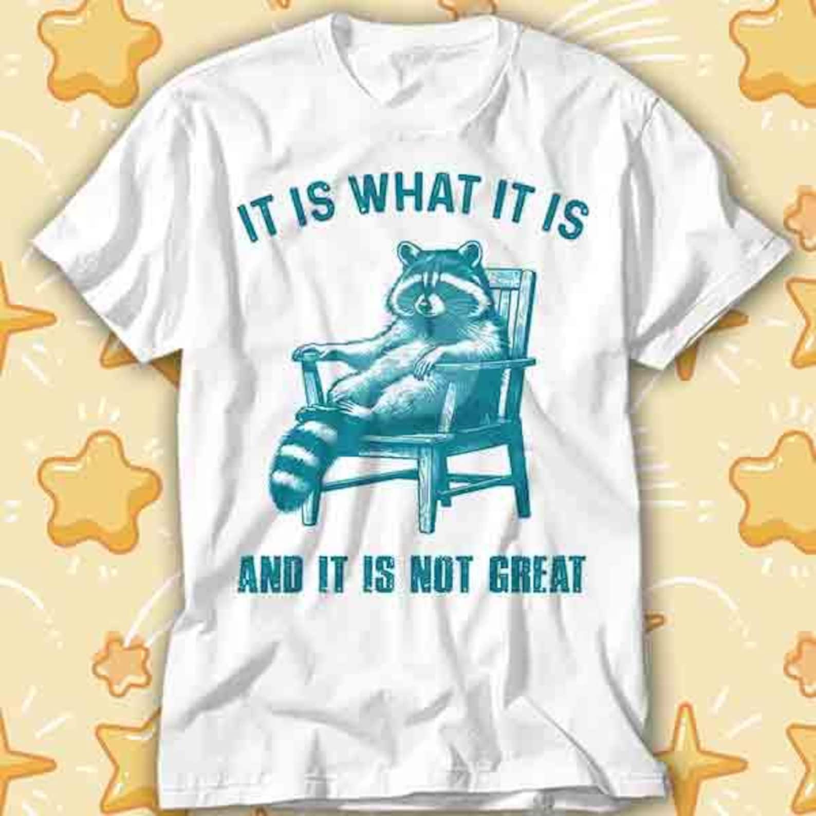It Is What It Is And It Is Not Great Chilling Raccoon Meme T-Shirt 428 L