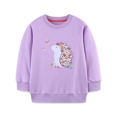 Toddler Girl Boy Sweatshirts Crewneck Long Sleeve Pullover Cotton Graphic Top Sweater Shirts