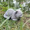 Figurina di Gatto in Resina Gatto Carino Addormentato Decorazione da Giardino Regalo per Amanti degli Animali