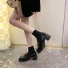 French women's shoes patent leather thick heels single shoes in autumn 2025 new models with skirts high heels temperament fashionable small leath