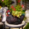 Resin Hen Flower Pot Figurines with Solar Light Chicken Statue Planters Flower Succulent Pot Hen Figurine Lighting Outdoor Decor