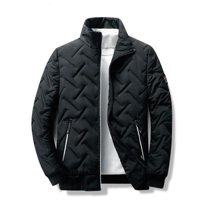 Men's Winter Down Coat Solid Color Korean Trend Zipper Jacket Warm Fashion Casual Streetwear Stand-up Collar Thick Coats
