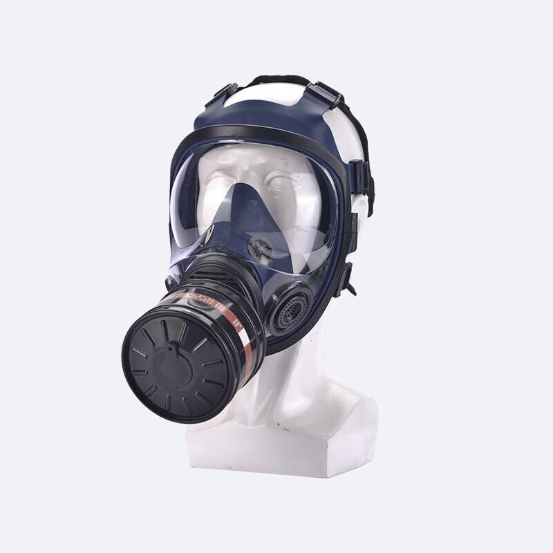WEZHO Full Face Respirator 7680