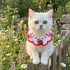 Sweet Flower Pet Scarf Bib Adjustable Cat Woven Bib Cute Pet Cat Necklaces  Photo Shoots