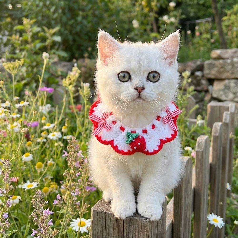 Sweet Flower Pet Scarf Bib Adjustable Cat Woven Bib Cute Pet Cat Necklaces  Photo Shoots