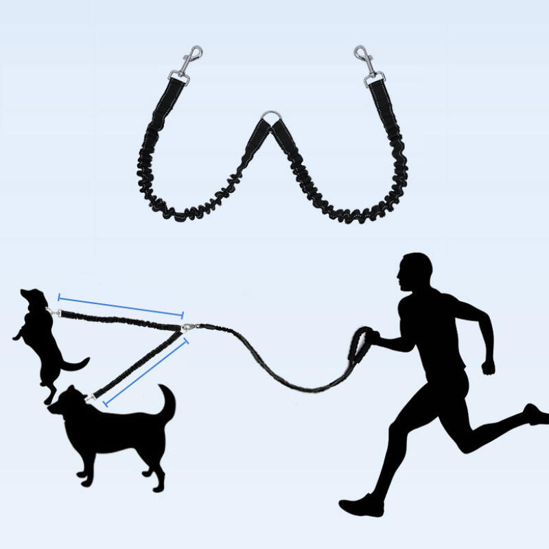 2-piece Multi-purpose Dog Collar, Harness, Leash