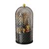 Decorative Geometric Patterned Glass Cloche with Dome Lid and Base for Home Display or Storage Use
